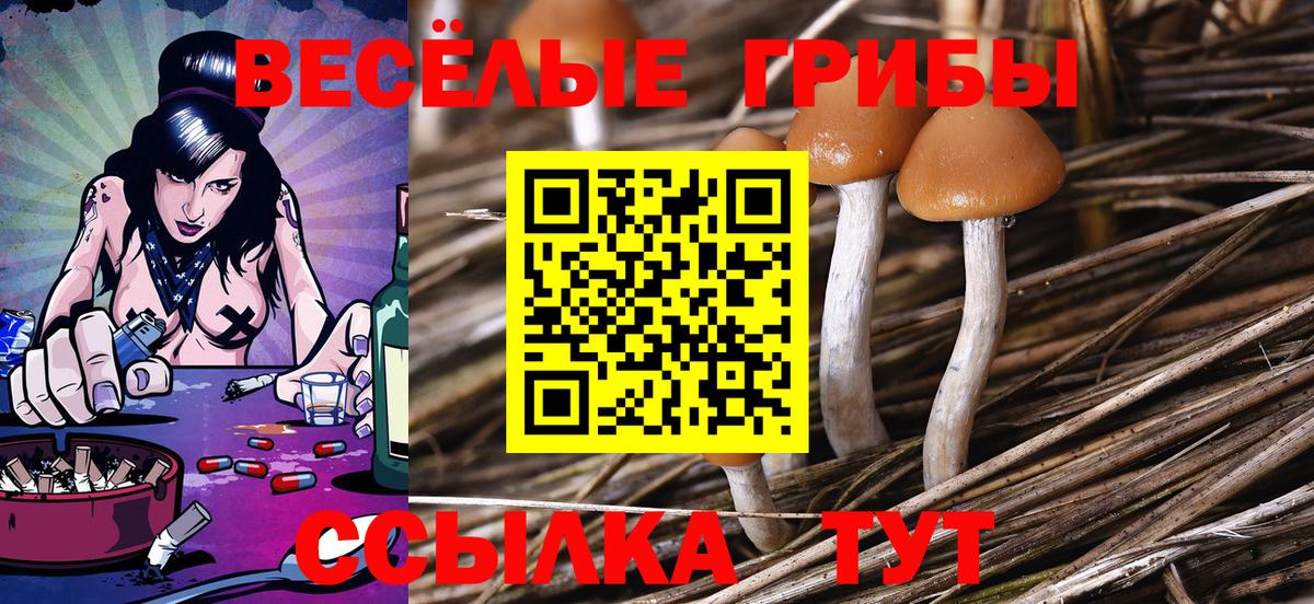 Прокопьевск  Галлюциногенные грибы ЛСД  Вход с VPN 