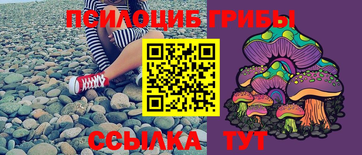 Псилоцибиновые грибы Magic Shrooms Прокопьевск