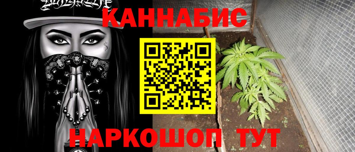 Канабис планчик Прокопьевск